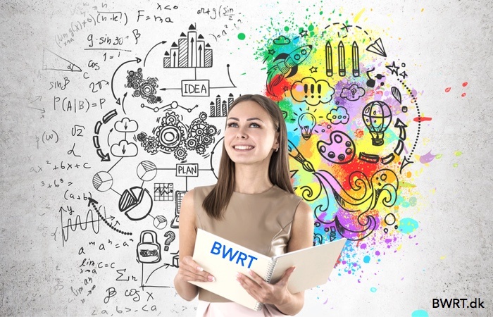 BWRT BrainWorking Recursive Therapy bruges af alternative behandlere