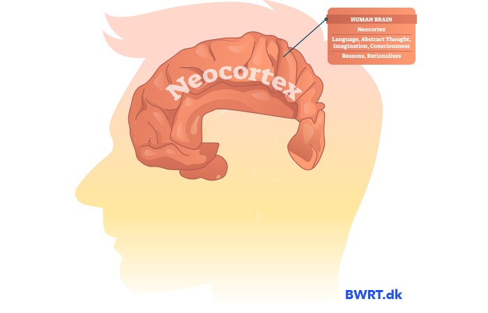 Neocortex | Har du tvangstanker? Løs det med BWRT behandling